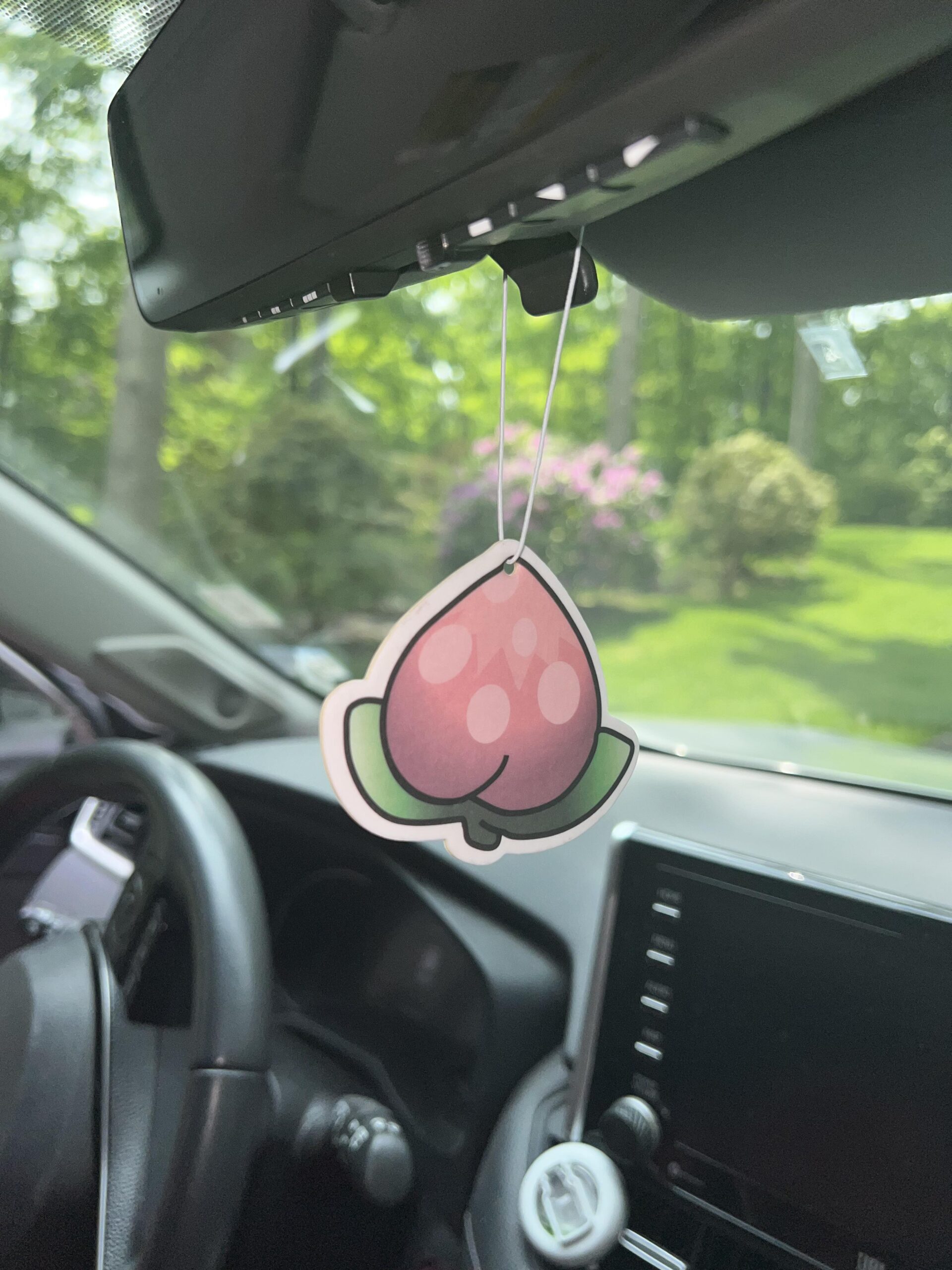 Pecha Air Freshener